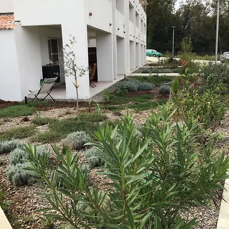 T2 Coquet Agreable Marina Di Bravone * Linguizzetta